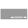 DEMANIT ApS logo