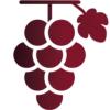 Piemonte Je|Sus ApS logo