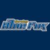 BLUE FOX - HERNING A/S logo