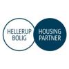 Svane Holding, Hellerup ApS logo