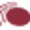 AUDITIVA ApS logo