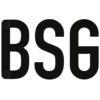 Behavioural Strategy Group IVS logo