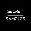 Secret Samples IVS logo