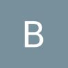 BARTELL HOLDING ApS logo