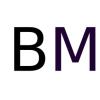Blackbird-Media Holding ApS logo