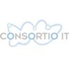 Consortio IT ApS logo