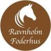 RAVNHOLM ApS logo