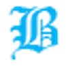 BizSoft ApS logo