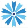 Kyvsgaard Consulting A/S logo
