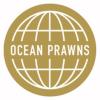 OCEAN PRAWNS A/S logo