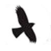 WOLLERUP KLOAK ApS logo