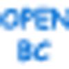 Mafe DK ApS logo