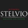 STELVIO ApS logo