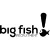 BIG FISH logo