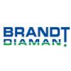 BRANDT DIAMANT JYLLAND ApS logo