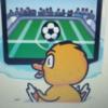 Duckvision logo