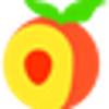 Peech ApS logo