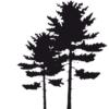 Skovbygaard A/S logo