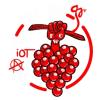 FuCo wine logo