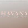 Havana Customer Experience logo