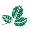 V. M. Consulting logo