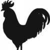 il gallo logo