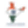 Indiavision logo