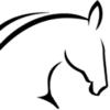Jemo Trading v/Morten Torup logo