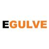Vision Gulve ApS logo