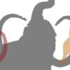 MAMMUTweb I/S logo