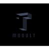 MODULT IVS logo