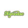 N'goodso I/S logo