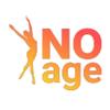 Noage IVS logo