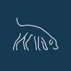 Dogs Paradise logo