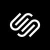 NPFlint Consultancy logo