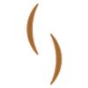 Scandza Danmark ApS logo