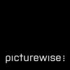 Picturewise Communication I/S logo