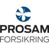 RS Consulting logo
