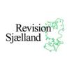 RS CONSULTING ApS logo