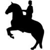 Rittermann logo