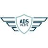 Palladium Partners ApS logo