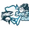 SeatroutGuideFyn logo
