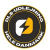 DLS Udlejning ApS logo