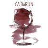 CA'BARUN DANMARK ApS logo