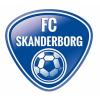 PS SERVICE v/Preben Skøtt logo