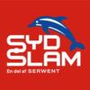 RØNNEDE SLAM HOLDING ApS logo
