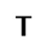 Lisbet Lorentsen IVS logo