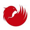 We Are Falcon ApS logo
