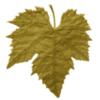 W. & S. Direct DK logo