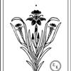 EspehusKro ApS logo